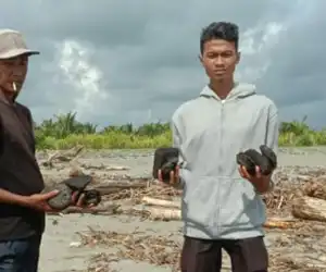 Aktivis Lingkungan Temukan Batu Bara Berserakan di Pantai Meureubo