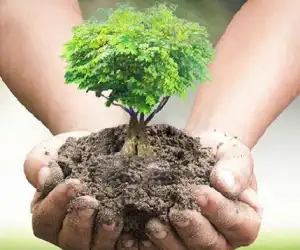 Lestarikan Hutan, BKPH Krueng Meurebo Tanam 500 Pohon