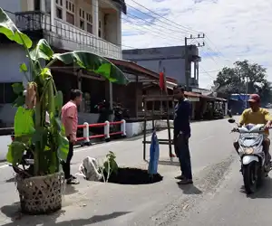 Jalan Lintas Provinsi Berlubang dan Ancam Keselamatan, Warga Tanam Pohon Pisang
