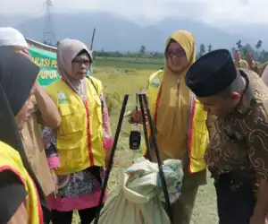 Tampa Menggunakan Pupuk Kimia, Hasil Panen Lebih Maksimal