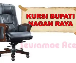 Pengusaha Muda Ini Dinilai Layak Memimpin Nagan Raya ke Depan, Siapa Dia?