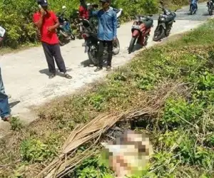 Di Kabarkan Hilang Dua Minggu, Balita Ditemukan Tampa Kepala