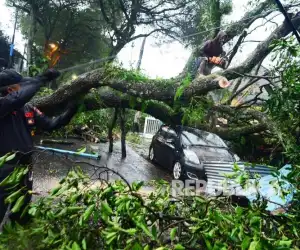 Seorang Mahasiswa AIN Tewas Tertimpa Pohon Saat Nongkrong di Warung
