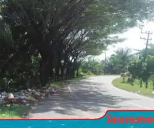 Biasa Dilewati Bupati dan Ketua DPRK Tapi Jalan Itu Banyak Sampah