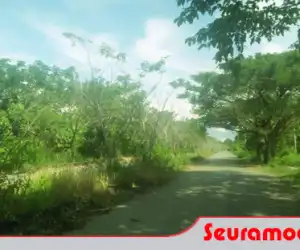 Miris! Beginlah Kondisi Ruas Jalan di Komplek Ibu Kota Suka Makmue