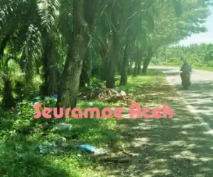 Kesadaran Warga Terhadap Kebersihan Lingkungan Masih Rendah
