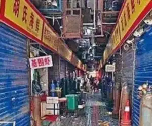 Peneliti China Ungkap Pasar Hewan Jadi Tempat Asal Virus Corona