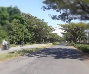 Mahasiswa Minta Jalan Komplek Pendidikan Abdya Dijaga Satpol PP/WH, Ini Alasannya