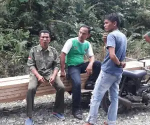 KPH Wilayah IV Aceh Amankan Kayu Olahan di Nagan Raya