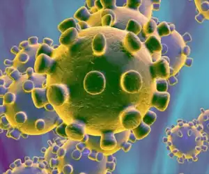 Gawat! Virus Lebih Mematikan Dari Corona Muncul di Afrika