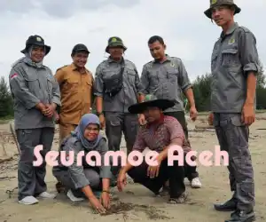 Cegah Abrasi dan Jaga Ekosistem, Pantai Kuala Tadu Ditanami Ratusan Pohon