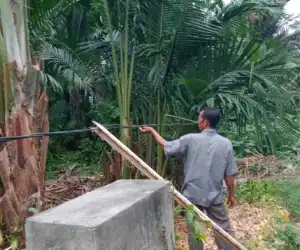 Kabel Listrik Milik PLN di Ladang Tuha I Abdya Ancam Keselamatan Warga