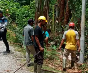 PLN Blangpidie Tanggulangi Kabel Listrik di Ladang Tuha I, Abdya