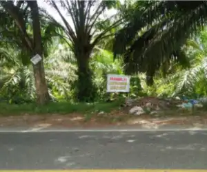 Sampah Menumpuk Dibawah Palang Larangan Membuang Sampah