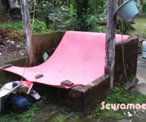 Termakan Isu Penyemprotan Dari Udara, Warga Nagan Tutup Sumur