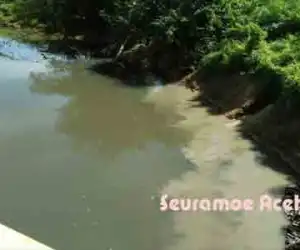 Bau Limbah PT BSP Menambah Resah Warga Ditengah Wabah Covid-19