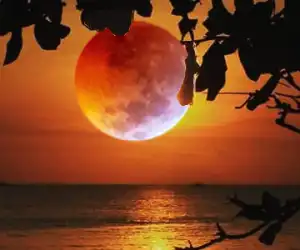 Jangan Lupa! Malam Ini Supermoom Akan Hiasi Langit