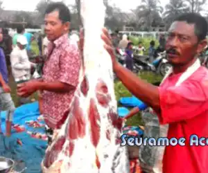 Harga Daging Meugang di Abdya Diprediksi Tembus Angka Rp 200 Ribu Perkilogram.