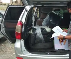 Polres Nagan Raya Temukan Ganja Seberat 30 Kilogram Di Krueng Isep