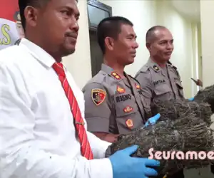 Tiga Orang Pengguna dan Pengedar Narkotika di Nagan Raya Ditangkap