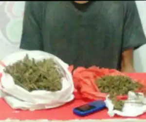 Diduga Suplai Ganja Kering, Warga Nagan Raya Jadi DPO Polres Simeulue