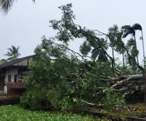 Diterjang Angin Kencang Sejumlah Rumah Warga di Abdya Rusak