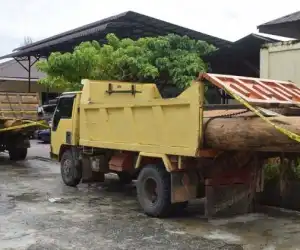 7 Tersangka Illegal Logging di Nagan Raya Berhasil Diamankan