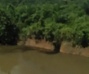 Diduga Buang Limbah ke Sungai, Mill Menager PT. BSP: Itu Bukan Limbah
