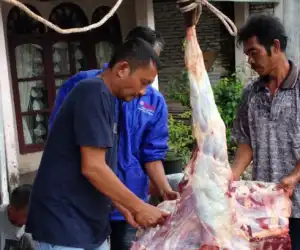 Pecahkan Rekor! Harga Daging di Abdya Termahal di Indonesia