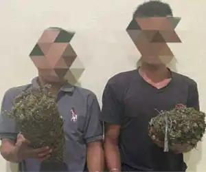 Diduga Pengedar Ganja, Dua Pemuda Ditangakap Polres Nagan Raya