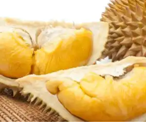 Buah Durian Hebohkan Jerman, Enam Pekerja Pos di Jerman Dilarikan Ke Rumah Sakit