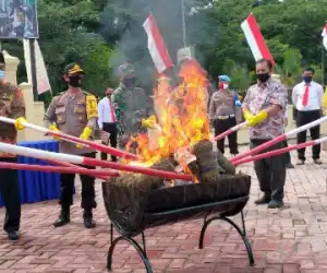 Puluhan Kilogram Barang Bukti Ganja Dimusnahkan Polres Nagan Raya