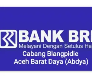 Begini Tanggapan Pimcab BRI Blangpidie Soal Dugaan Penggelapan Uang Nasabah