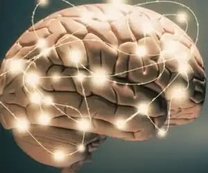 Bagaimana Ciri-Ciri Cerdas Menurut Islam ?