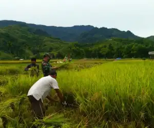Suhaimi Salihin, Dambakan Samadua Jadi Pilot Project Pertanian di Aceh Selatan