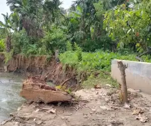 Erosi Krueng Susoh, Abdya Ancam Rumah dan Kebun Warga