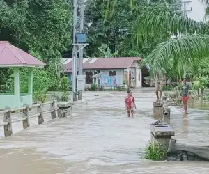 Banjir Landa Nagan Raya, Beberapa Warga Mulai Mengungsi