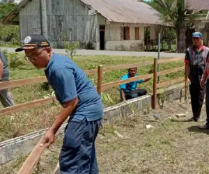 Meriahkan HUT RI ke 75, Kantor Kemenag Simeulue Bersihkan Madrasah