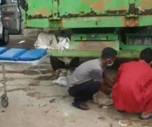 Miris! Lelah Bekerja, Mak Wa Ini Meninggal di Kolong Truk