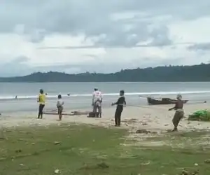 Hasil Tangkapan Melimpah, Ini Harapan Nelayan Tradisional Simeulue