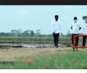 Ketika Bebek Lebih Menarik Dari Persoalan Rakyat