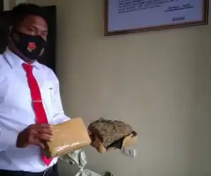 Bawa Ganja, Empat Pemuda Dibekuk Polres Nagan Raya