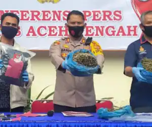 4,4 Kg Ganja Asal Nagan Raya Ditemukan di Rumah Tersanga Curanmor