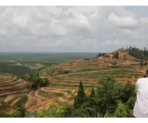 Wacana Pembagian Bekas Lahan HGU untuk Mesjid Dapat Respon Positif Dari Tokoh Abdya