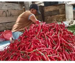 Harga Cabai Merah di Aceh Selatan Naik dalam Seminggu Terakhir