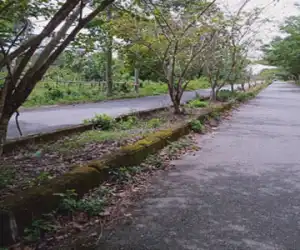 Median Jalan di Komplek Perkantoran Suka Makmue Rusak Parah