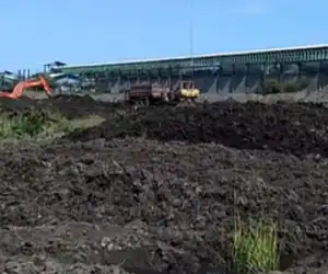 Puluhan Hektare Kebun Milik Warga Suak Puntong Rusak