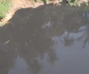 Aliran Sungai Krueng Tadu Berubah Warna Menjadi Hitam Pekat