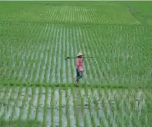 Anggota DPR : Pastikan Agar Kartu Tani Tersebar ke Mereka yang Berhak