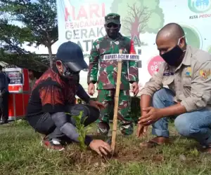 Tanam Satu Juta Pohon, Bupati Aceh Jaya Apresiasis LSM Kita Peduli
